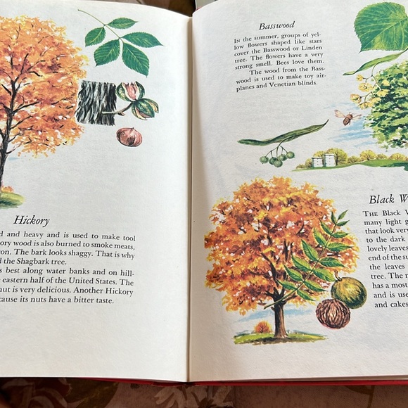 Vintage The Wonders of Nature Hardcover Book 1974 Coffee Table Book oversized - Picture 14 of 16